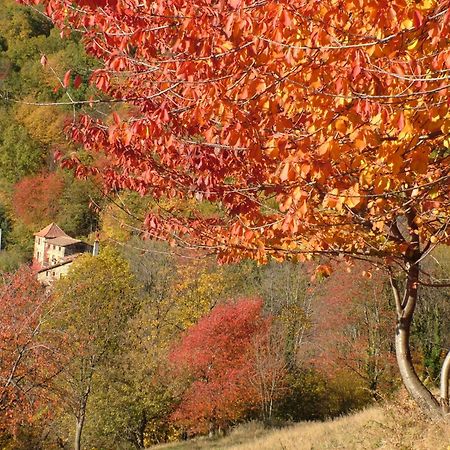 Casa Etxalde Pensionat Camprodon Exteriör bild