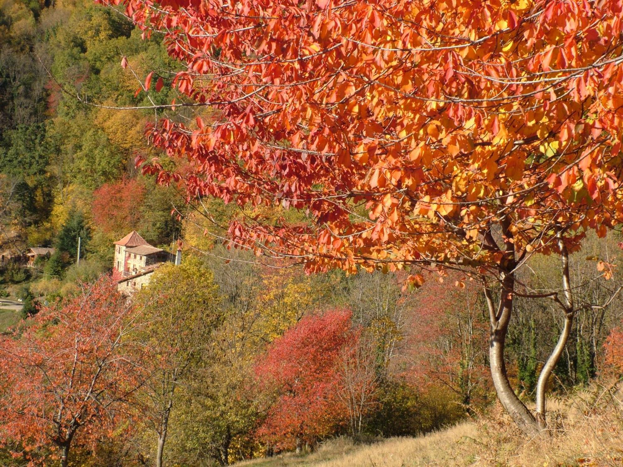 Casa Etxalde Pensionat Camprodon Exteriör bild